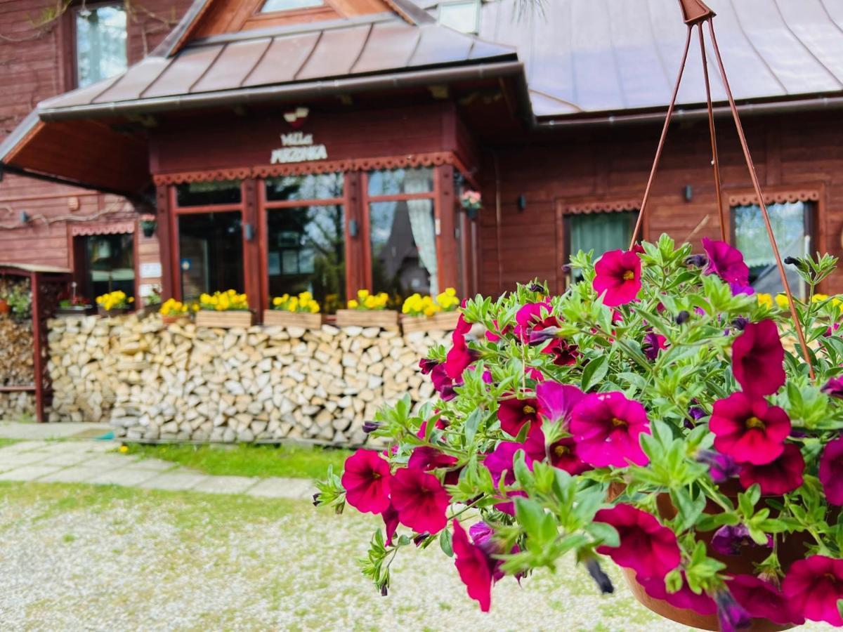 Willa Mrzonka Guesthouse Zakopane Exterior photo