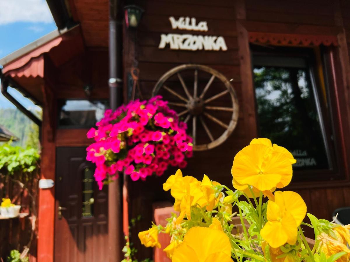 Willa Mrzonka Guesthouse Zakopane Exterior photo