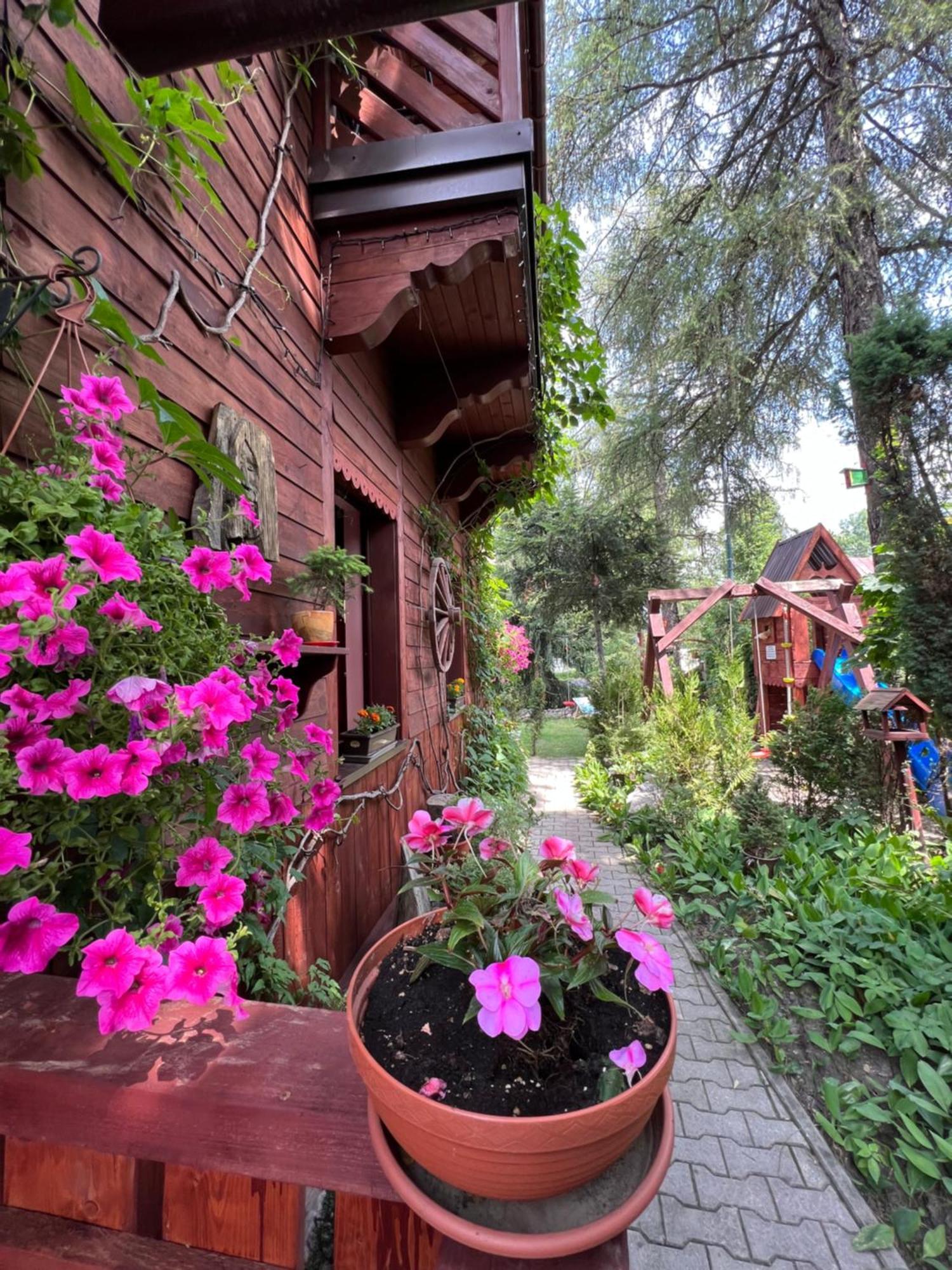 Willa Mrzonka Guesthouse Zakopane Exterior photo